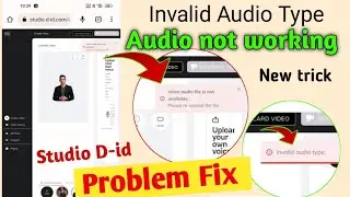 invalid audio type problem fix studio did ! voice audio file is not available problem fix studio did