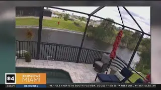 Florida car racing Dodge Challenger goes airborne into canal