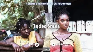 INDIE SOULS - Rema ft Wizkid Type Beat | Alte - Afrobeat Instrumental 2025