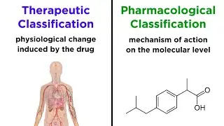 Categorizing Drugs: Classes, Names, and Schedules