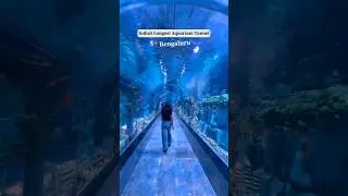 India’s Longest Aquarium in Bangalore | Places to visit in Bangalore | Weekend for kids|Water park