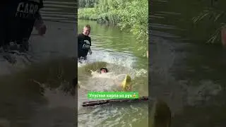 Огромный карп выпал из рук рыбака😂 #карпфишинг #рыбалка #ловлякарпа