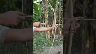 Amazing Powerful Bamboo Bow and arrow