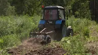 Вчера была уничтожена целая плантация конопли