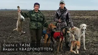 Охота с ТАЗЫ. Видео с КВАДРОКОПТЕРа. Питомник Сэхра Эль. Осень 2021