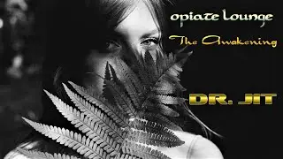 THE AWAKENING  II  OPIATE LOUNGE  II  2022  II  DR. JIT