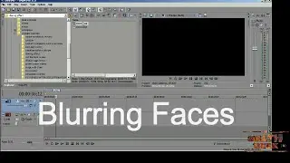 How to Blur faces in Sony Vegas