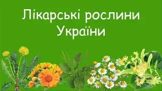 Лікарські рослини