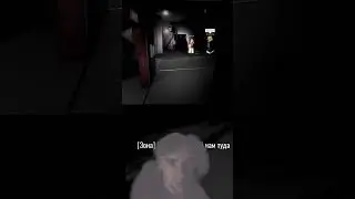 Эффект наблюдателя 