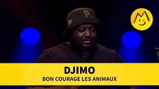 Djimo - Bon courage les animaux