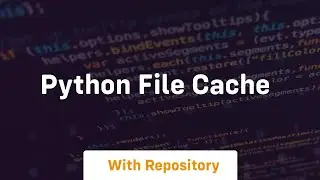 python file cache