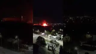Зоопарк выгорел дотла в Евпатории