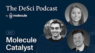 Democratizing Early-Stage Research Funding: Inside Catalyst, Molecule’s DeSci Funding Machine