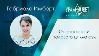 Особенности полового цикла сук, лектор Габриела Имберт 