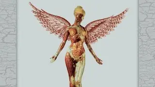 Nirvana - Pennyroyal Tea 12 Hours Extended