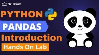 Pandas Tutorial in Python for Beginners [Hands on Lab]