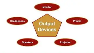 Output Devices of Computer | What is an Output Device | Examples of Output Device