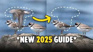 Remove ANYTHING from a Photo in Photoshop 2025!