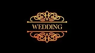 Swirl Line Animation in After Effects - After Effects Tutorial - Wedding Text Animation