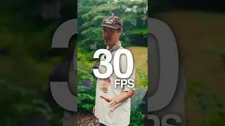 30FPS over 24? 