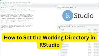 How to Set the Working Directory in RStudio?