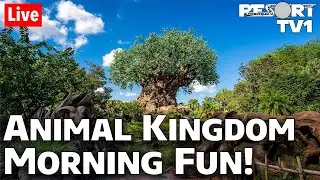 🔴Live: Sunday Morning at Disney's Animal Kingdom in 1080p | Walt Disney World Live Stream - 8-23-20