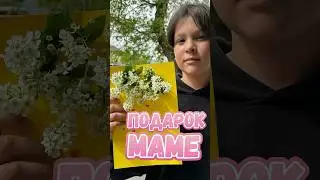 Дарите женщинам цветы 