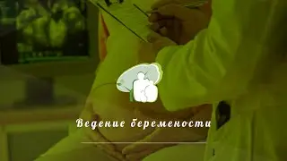 Ведение беременности