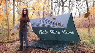 Rainy Autumn Tarp Camp in the Woods 🍂