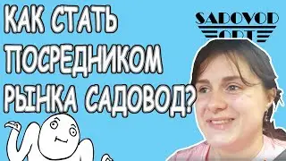 Кто такие посредники рынка Садовод и как стать посредником? | Маша Копытина [sadovodopt]