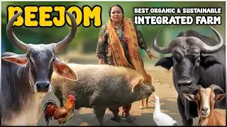 Beejom - Best SUSTAINABLE ORGANIC  INTEGRATED Farm