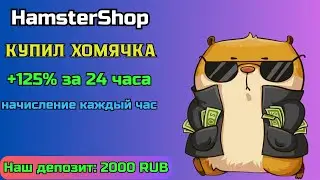 ✅ Купил хомяка и заработал + 2000 за день  💰 HamsterShop  📢 Заработок на игре в интернете 2024 год