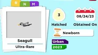 Seagull Neon & Mega Neon in Adopt me