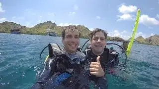 DIVING w/ SHARKS, SEA TURTLES AND MANTAS in KOMODO Islands