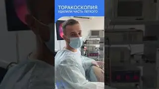 Спонтанный пневмоторакс у хаски - Торакоскопия легкого