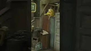 Someone play with Big Bird! #sesamestreet