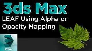 Leaf Alpha Texture Tutorial | 3Ds Max Tutorials