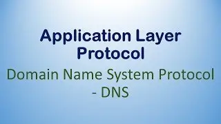 DNS Protocol