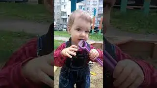 Ребятки Котятки малыши, песочница.
