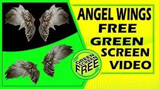 neon green screen | neon animation green screen | black screen angel wings | green screen angel wing