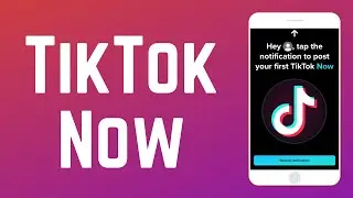 How to Use TikTok Now