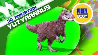 Green Screen Yutyrannus Dinosaurs 3D Animations PixelBoom