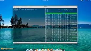 QTerminal - терминал с разбивкой окон. Программы для Linux