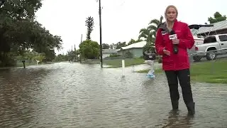 Harlem Heights floods following Tropical Storm Debby