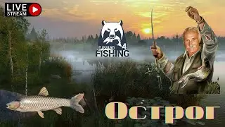 🔴РУССКАЯ РЫБАЛКА 4 (RUSSIAN FISHING 4)🔴 - Пытаемся ловить амуров| Чёрный и белый амур| Острог| РР4 🔴