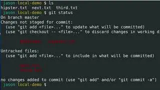 Git and GitHub Quick Start: Empty Local Project (7/9)