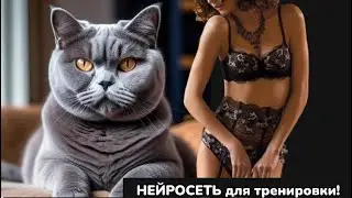 Нейросеть для тренировки