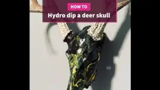 Hydro dipping a deer skull