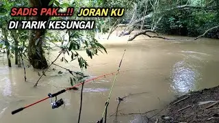 Rejeki tak terduga!! saat mancing dan camping Di spot hutan rimba