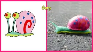 SpongeBob SquarePants In Real Life 👉